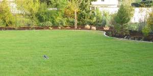 Gartenplanung von U. Bach Gartenbau - Landschaftsbau - Troisdorf