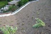 Dachbegrünung von U. Bach Gartenbau - Landschaftsbau - Troisdorf