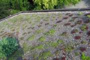 Dachbegrünung von U. Bach Gartenbau - Landschaftsbau - Troisdorf