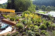 Intensive Dachbegrünung von U. Bach Gartenbau - Landschaftsbau - Troisdorf