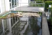 Gartenteich Ideen von Bach Gartenbau - Landschaftsbau aus Troisdorf