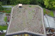 Dachbegrünung von U. Bach Gartenbau - Landschaftsbau - Troisdorf