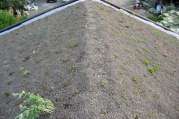 Dachbegrünung von U. Bach Gartenbau - Landschaftsbau - Troisdorf