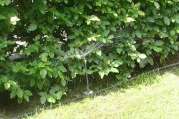 Gartenbewässerung planen mit Gardena von Bach Gartenbau - Landschaftsbau - Troisdorf