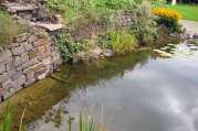 Gartenteich Ideen von Bach Gartenbau - Landschaftsbau aus Troisdorf