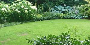 Privatgaerten von U. Bach Gartenbau - Landschaftsbau - Troisdorf