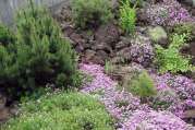 Privatgarten, Garten, Hausgarten, Landschaftsarchitektur von Bach Gartenbau - Landschaftsbau - Troisdorf
