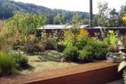 Intensive Dachbegrünung von U. Bach Gartenbau - Landschaftsbau - Troisdorf