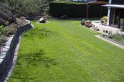 Gartengestaltung mit Rollrasen von Bach Gartenbau - Landschaftsbau - Troisdorf