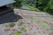 Dachbegrünung von U. Bach Gartenbau - Landschaftsbau - Troisdorf