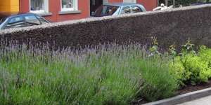 Gewerbliche Flaechen von U. Bach Gartenbau - Landschaftsbau - Troisdorf