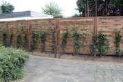 Holzzaun als Sichtschutz von U. Bach Gartenbau - Landschaftsbau - Troisdorf