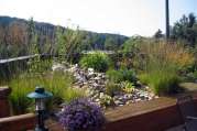 Intensive Dachbegrünung von U. Bach Gartenbau - Landschaftsbau - Troisdorf