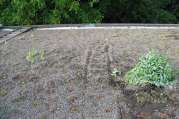 Dachbegrünung von U. Bach Gartenbau - Landschaftsbau - Troisdorf