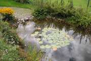 Gartenteich Ideen von Bach Gartenbau - Landschaftsbau aus Troisdorf