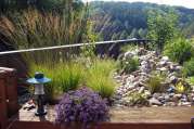 Intensive Dachbegrünung von U. Bach Gartenbau - Landschaftsbau - Troisdorf