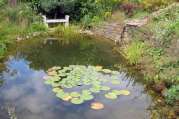 Gartenteich Ideen von Bach Gartenbau - Landschaftsbau aus Troisdorf