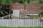 Gartenbrunnen von U. Bach Gartenbau - Landschaftsbau - Troisdorf